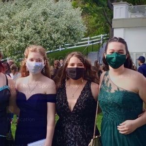 Meet your Posher, Bailey